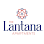 The Lantana logo