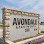 Avondale Apartments logo
