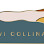 Vi Collina logo